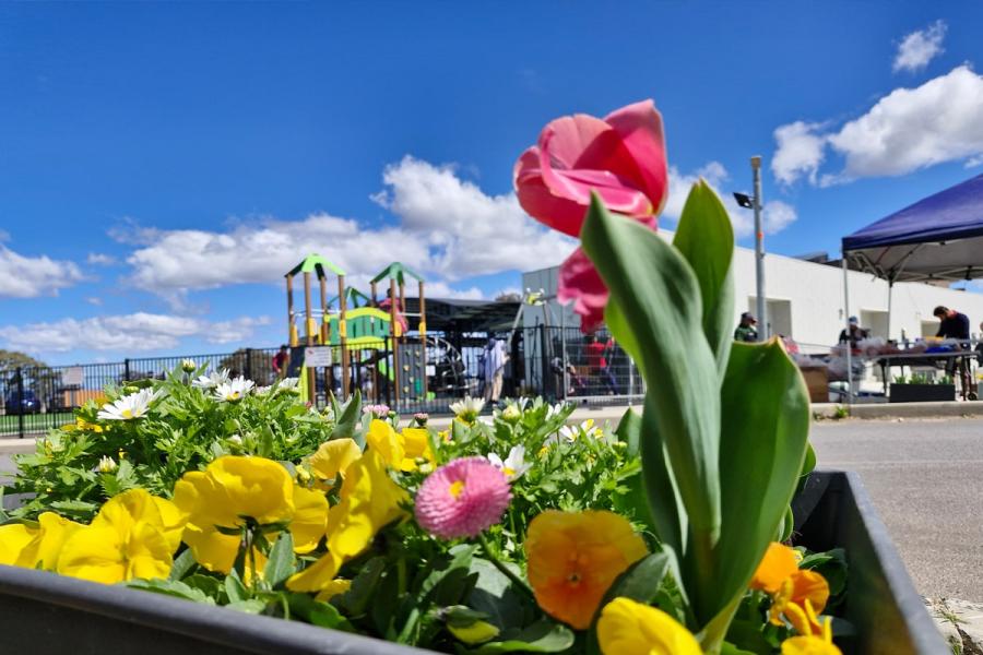 Gungahlin Mosque Garden project